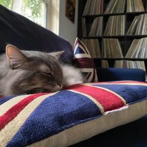 Meet your Posher, Peter